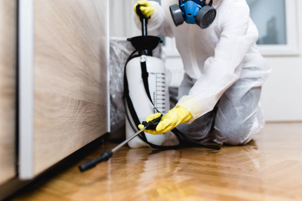 Best Ant Control Services  in Hope Valley, RI