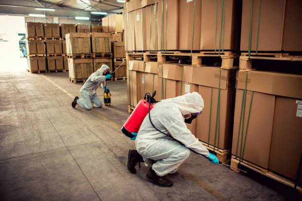 Best Pest Prevention Services  in Hope Valley, RI