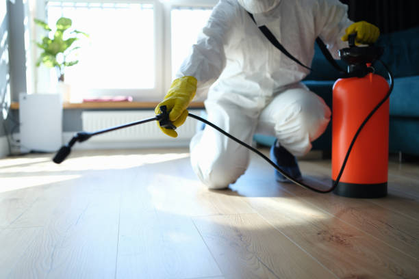 Best Best Pest Control Companies  in Hope Valley, RI