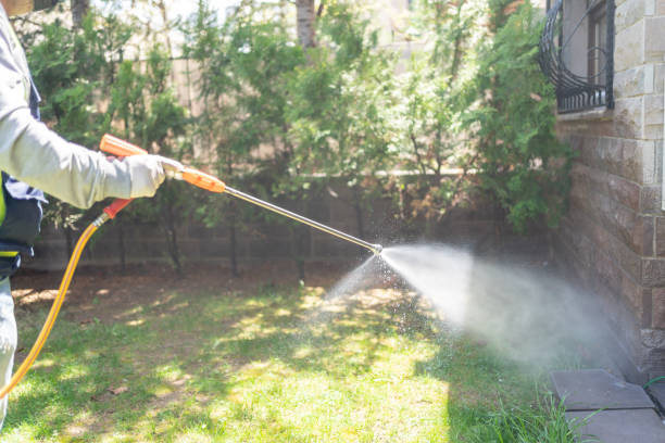 Best Rodent Control Near Me  in Hope Valley, RI
