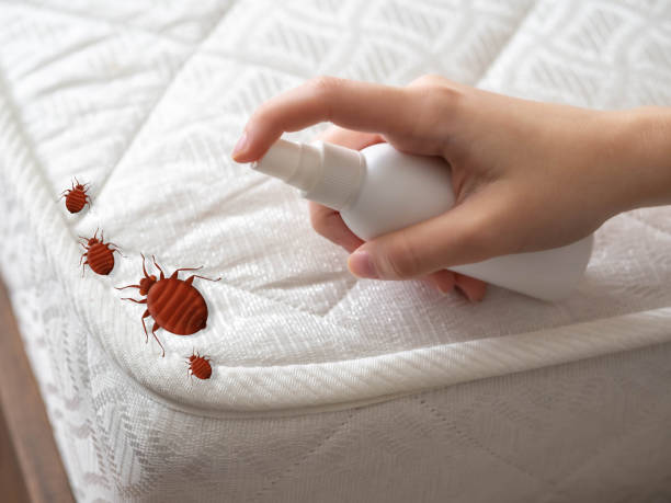 Best Mosquito Control Services  in Hope Valley, RI