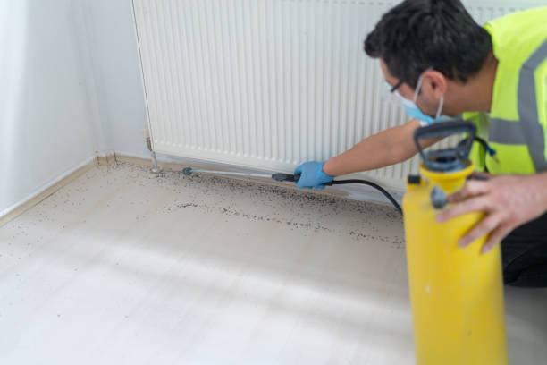 Best Local Pest Control Services  in Hope Valley, RI